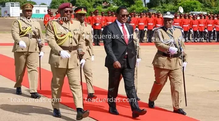 La policía investiga el robo de cuatro perros del palacio presidencial de Malaui