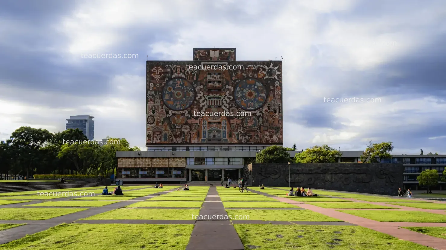 La UNAM se posiciona entre las mejores universidades del mundo en ciencias interdisciplinarias